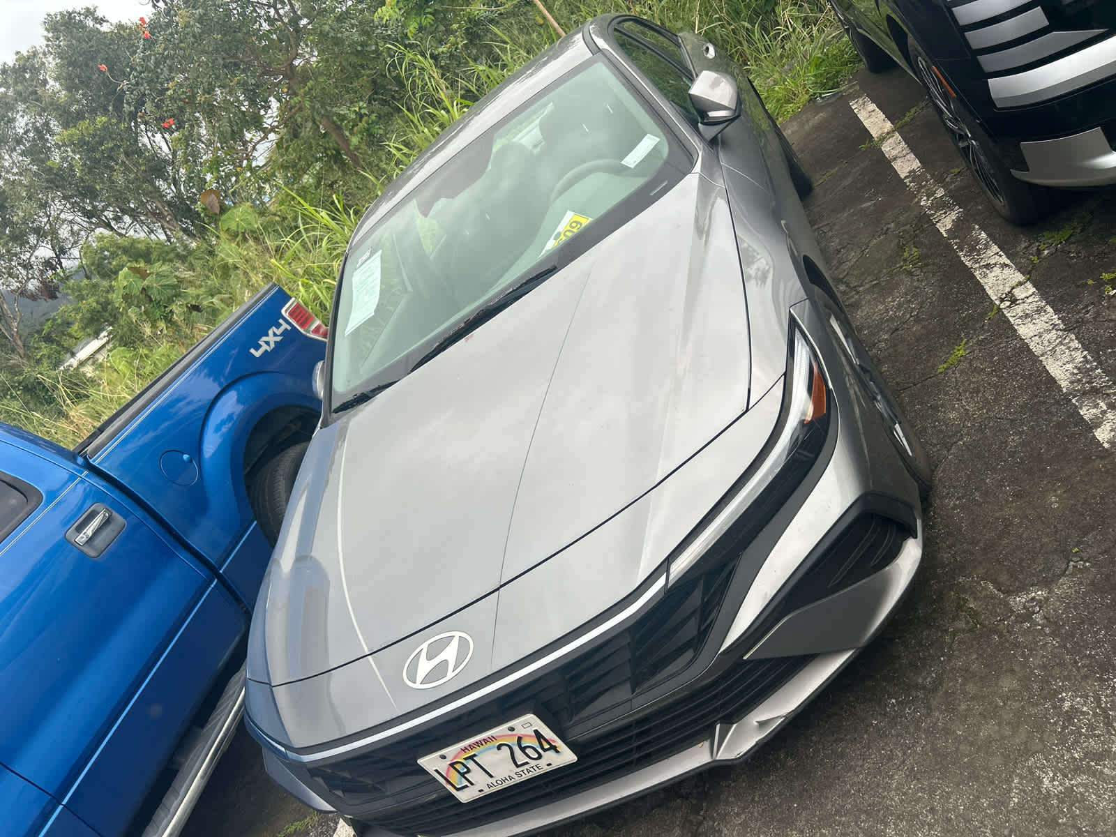2025 Hyundai ELANTRA HYBRID Blue