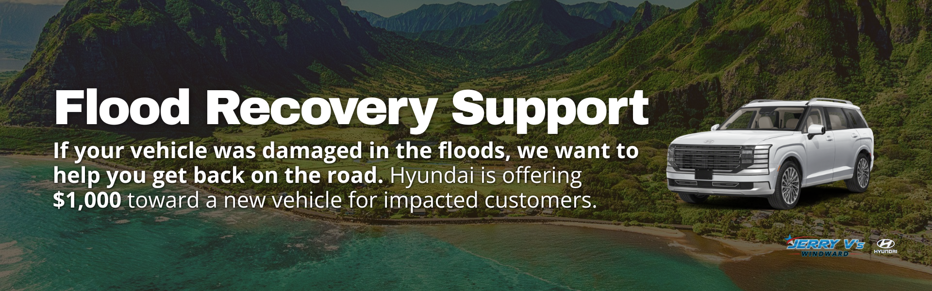 Hyundai Flood Support