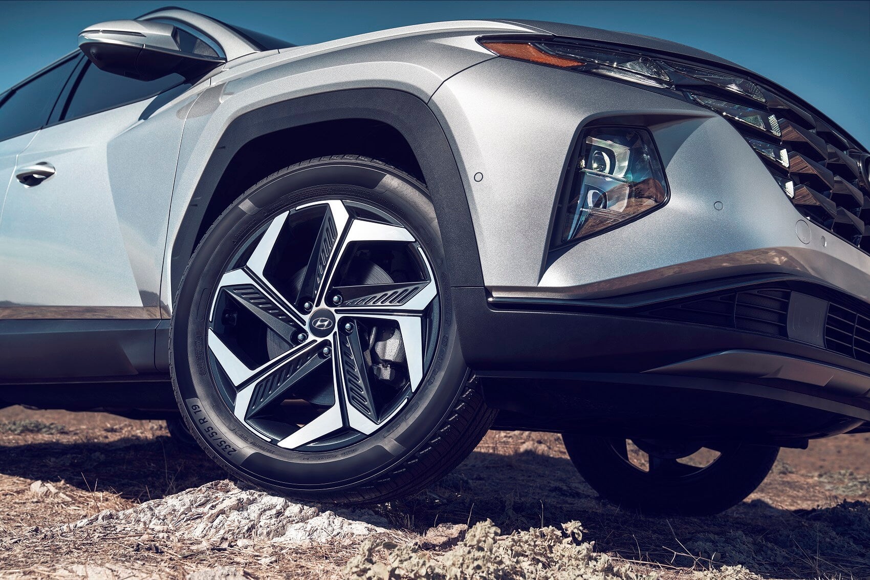 Getting Behind the Wheel: Lease or Loan?