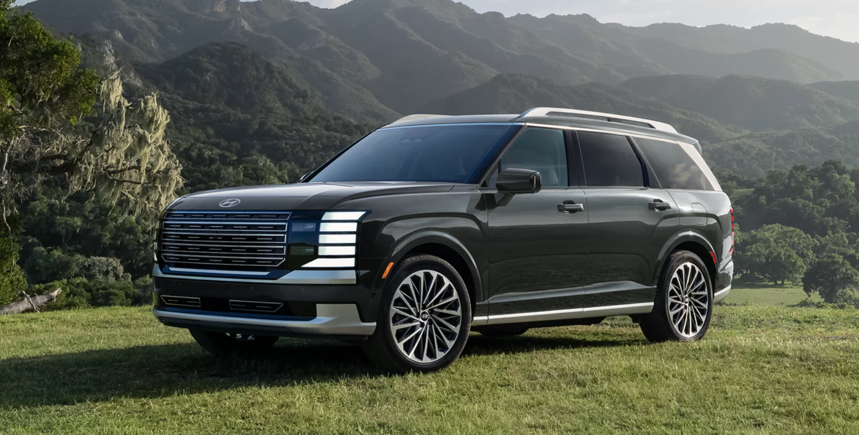 2026 Hyundai Palisade Hybrid parked on top of a grassy hill.
